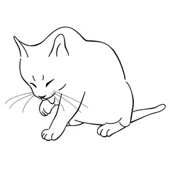 cat grooming herself line