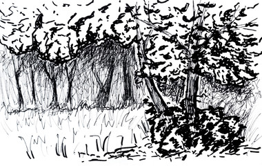 Fototapeta na wymiar Forest, drawing black markers