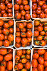 Frische Tomaten in Schalen