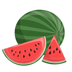 Watermelon with slices, decorated with lines and dots, fruit for summer. Isolated on white background