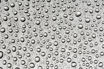 Water droplets on a black background