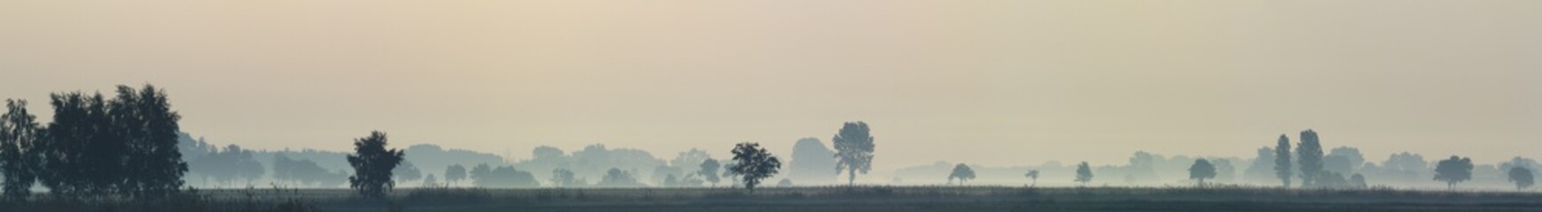 Obraz premium fog near lake