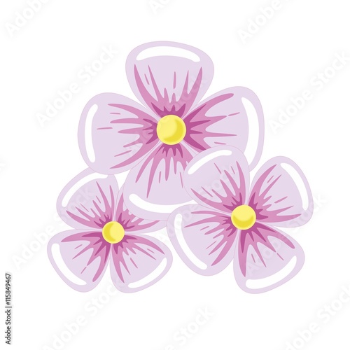 "Розовые цветы в векторе" Stock image and royalty-free vector files on ...