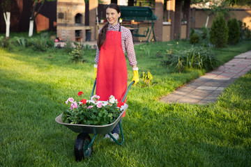 Gardener with flowers in wheelbarrow