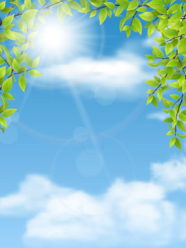 Trees branches with green leaves on blue sky background. Vector nature background.