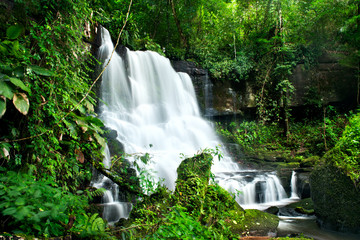 Obraz premium Waterfall in deep forest