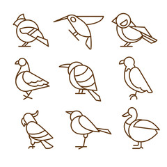 Bird Icons, Thin Line Style, Flat Design