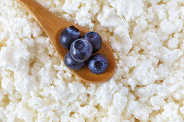 cottage cheese and the wooden spoon with blueberries - 115854462