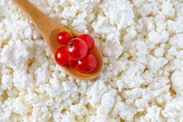 cottage cheese and the wooden spoon with currant - 115854478