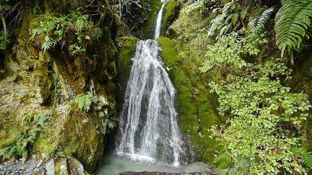 Secluded waterfall in temperate tropical rainforest. Fiorland National Park, Milford Sound, New Zealand