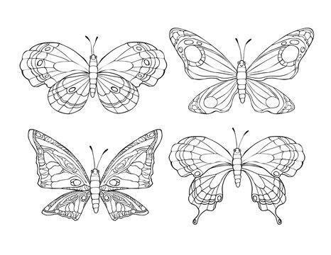 Collection of pretty cartoon butterflies isolated on white background.