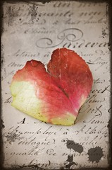 Alte Liebe