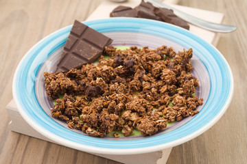 dish with cereals and chocolate chips