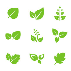 Set of Green Leaves Design Elements.