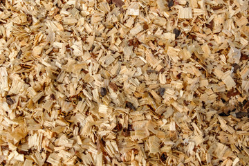 Background of fresh wood shavings. The texture of the shavings from cutting and sawing trees. Rudiment of billets of firewood in the forest.