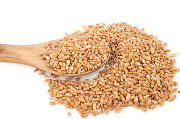 Wheat in wooden spoon