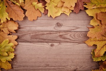 Naklejka na ściany i meble Autumn leaves on background a old wood.