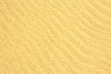 Sand Texture./ Sand Texture.