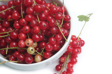 ciotola di ribes. frutti rossi isolati su sfondo bianco