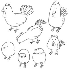 vector set of chicken and egg