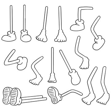 vector set of cartoon leg