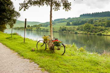 Decorative bike by the river. Germany. The bike is near the tree. Cycling clubs hung with flowers. Beautiful scenery along the Moselle river. On the other side the green hills.
