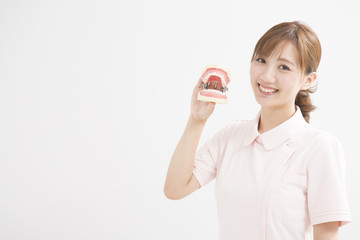 顎模型を持つ白衣の女性