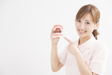 顎模型を持つ白衣の女性 © peach100