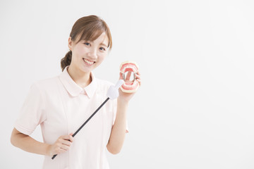 顎模型を持つ白衣の女性