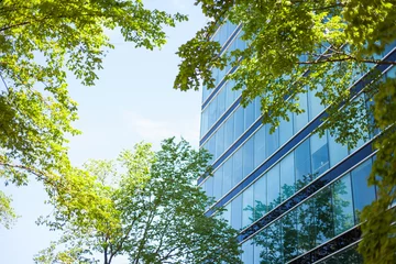 Fotobehang Stadsgebouw Modern hoogbouw kantoorgebouw met glazen gevel in een milieuvriendelijke stadswijk met weelderige groene bomen