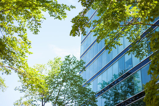 Modern Glass Facade High-rise Office Building In An Environmentally Friendly City District With Lush Green Trees