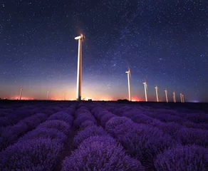Foto auf Acrylglas Lavendelnacht / Nachtansicht des Windparks in der Nähe eines blühenden Lavendelfeldes im Nordosten Bulgariens © Jess_Ivanova