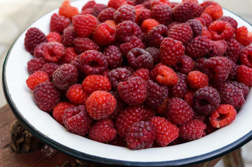Large bowl with freshly picked raspberries. Close up