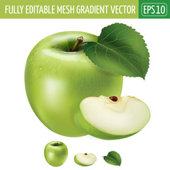 Green apple on white background. Vector illustration