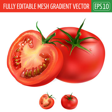 Tomato on white background. Vector illustration