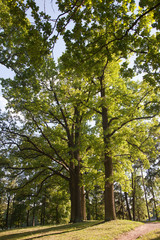Gatchina. Leningrad region. Park ensemble in Gatchina.