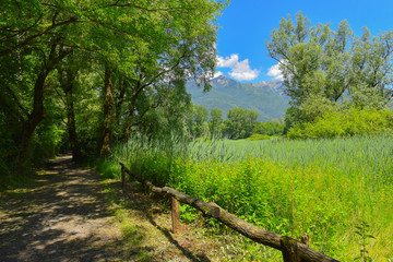 Sentiero che porta nel bosco