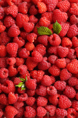Ripe and sweet red raspberries background