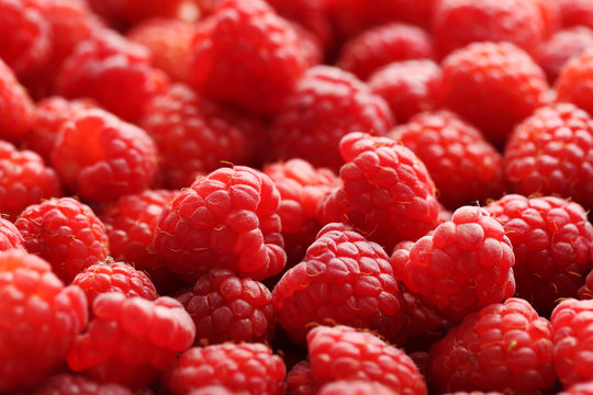 Ripe and sweet red raspberries background
