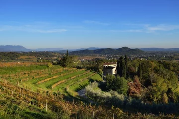 Fototapeten Italien östliche Hügel von Friaul © gianfranco pucher