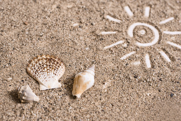 Simple sun drawing in the sand and seashells