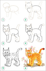 Fototapeta premium Page shows how to learn step by step to draw a lynx. Developing children skills for drawing and coloring. Vector image.