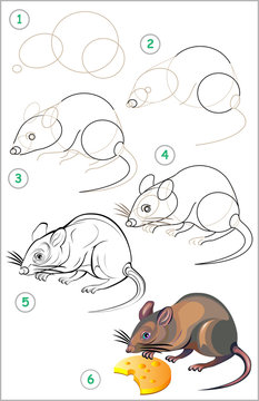 Page shows how to learn step by step to draw a rat. Developing children skills for drawing and coloring. Vector image.