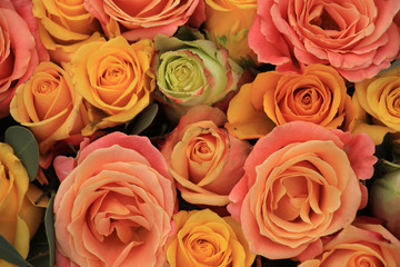 Yellow and orange roses