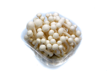 White beech mushrooms Shimeji mushroom Edible mushroom isolated