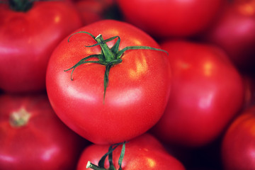 close up of red tomatoes