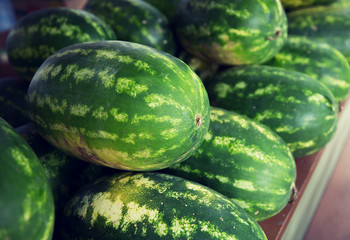 close up of watermelon at street farmers market