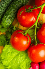 stilllife - tomatoes, cucumbers, lettuce