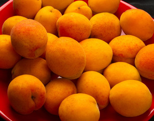 fresh apricots in red plate