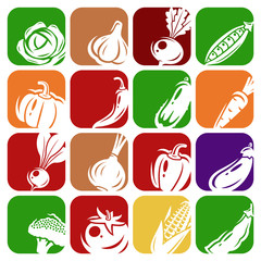 Collection of vegetables set. Vector illustration